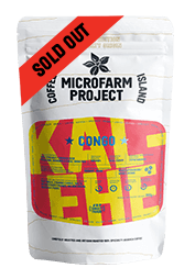 Congo Kalehe