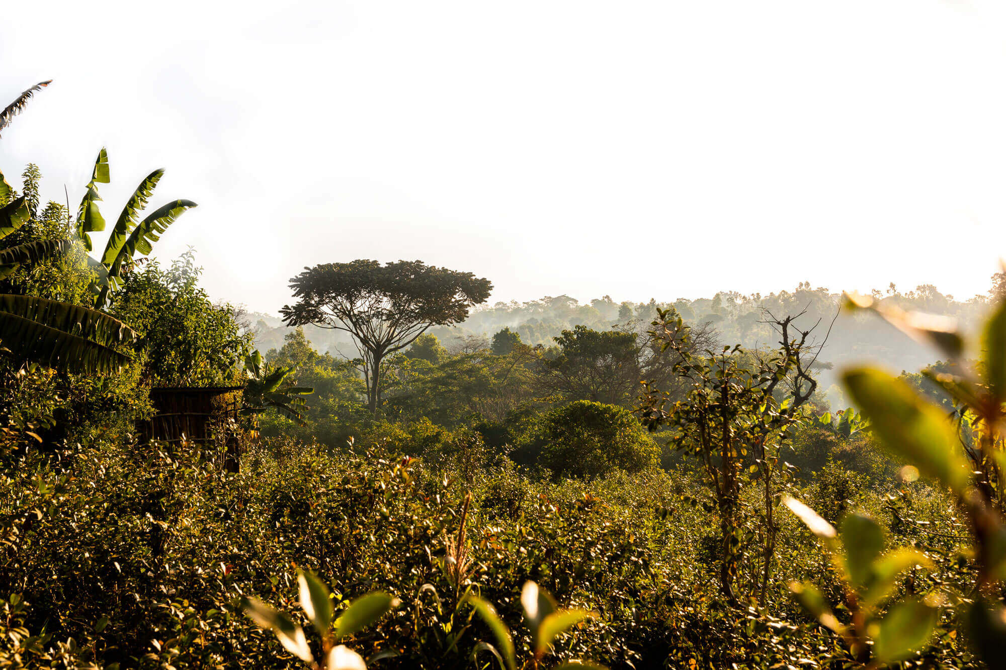 Ethiopia