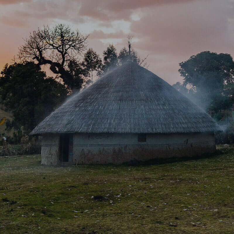 Ethiopia Motherland Next Step