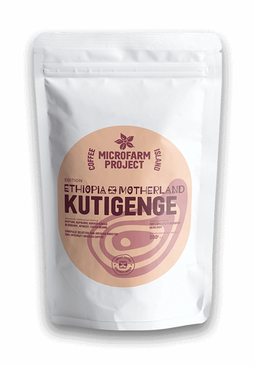 Ethiopia Damo Coffee Beans