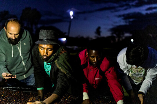 Ethiopia Motherland Blog posts