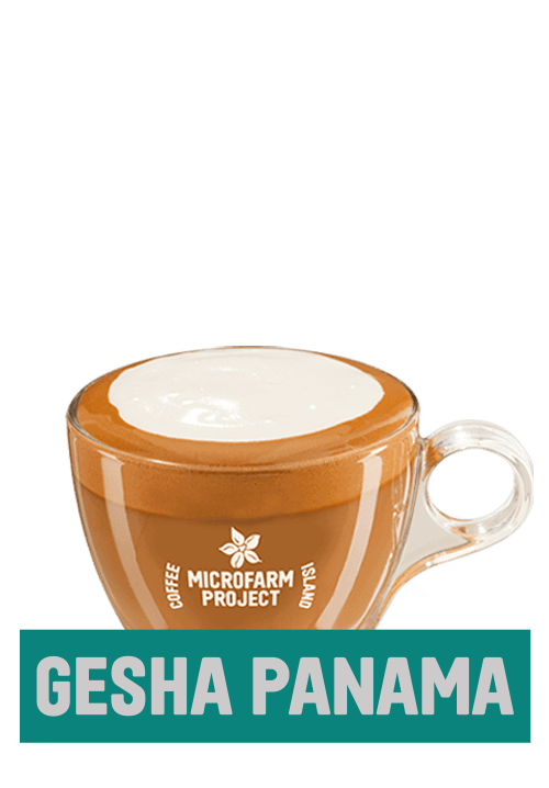 Cappuccino Gesha Panama 12oz