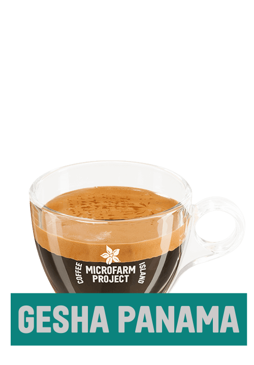 Espresso Gesha Panama 8oz