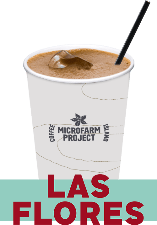 Espresso Freddo Microfarm Έξτρα δόση 16oz Espresso Παγωμένα
