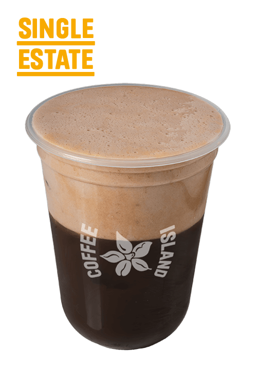 Espresso Freddo Protein Single Estate