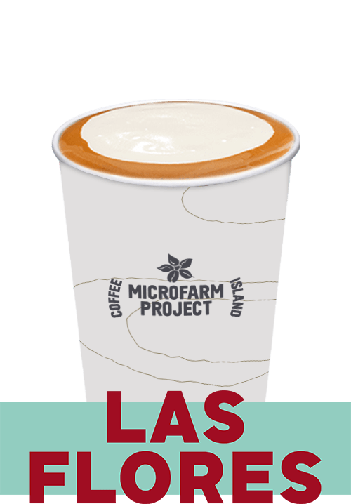 Flat White Gesha Panama 8oz