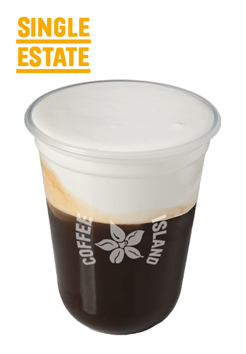 Freddo Cappuccino Αφρόγαλα Single Estate