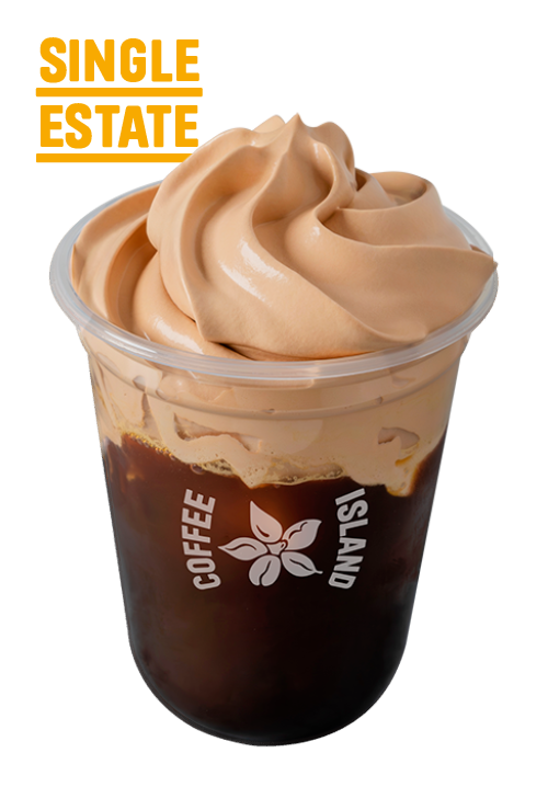 Freddo Cappuccino Praline Crema Single Estate 12oz