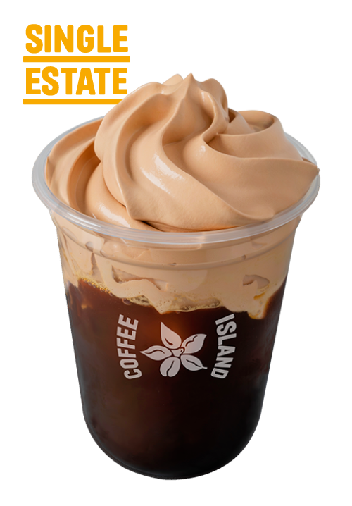 Freddo Cappuccino Praline Crema Single Estate