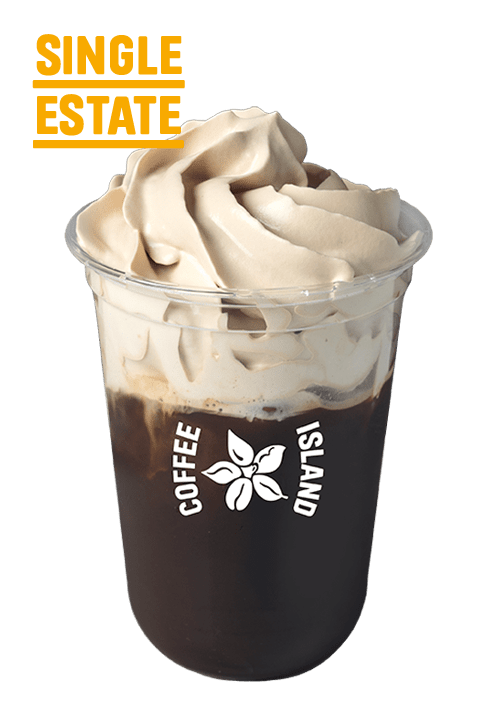 Freddo Cappuccino Salted Caramel Crema Single Estate