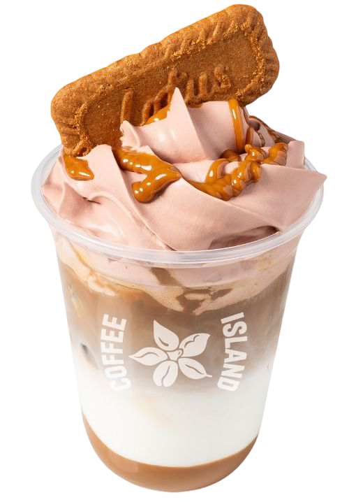 Iced Biscoff Latte