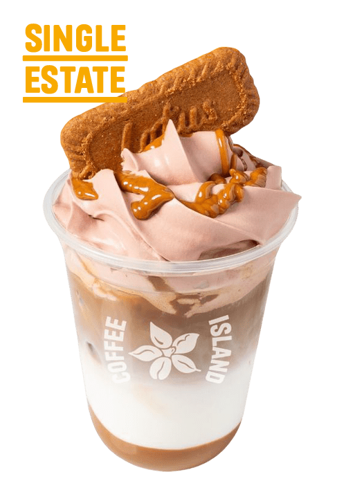 Iced Biscoff Latte Single Estate