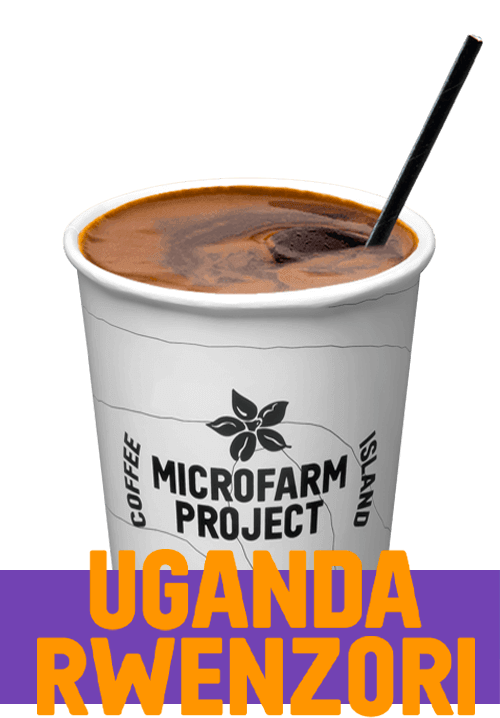 Iced Latte Microfarm