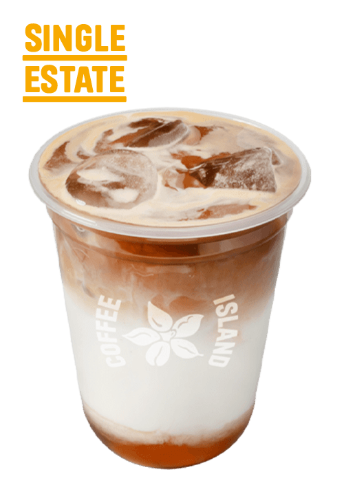 Iced Latte Salted Caramel Single Estate