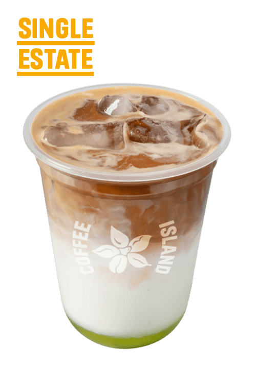 Iced Pistachio Latte Single Estate