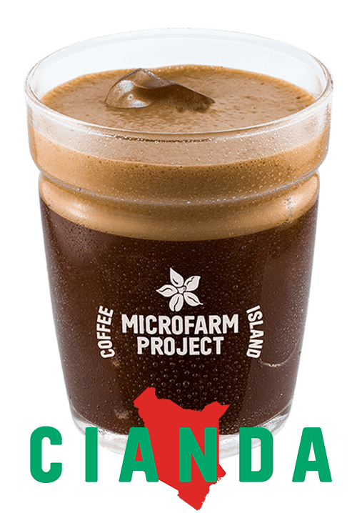 Espresso Freddo Microfarm 12oz Espresso Παγωμένα
