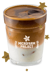 Iced Latte Microfarm Jingle Blend 12oz