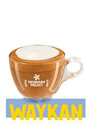Cappuccino Microfarm Regular 12oz