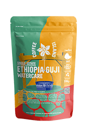 Ethiopia Guji Watercare Συσκευασμένος 200γρ