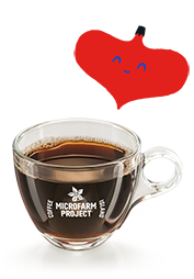 Filter Jingle Blend Large 16oz