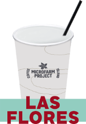 Freddo Cappuccino με Φυτική Κρέμα Microfarm 12oz