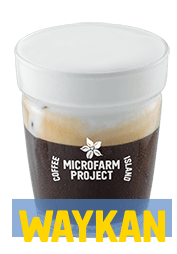 Cappuccino On the Rocks with Vegan Cream Microfarm 12oz