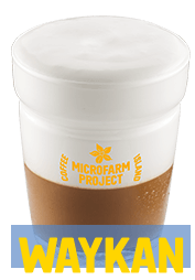 Iced Spanish Latte Microfarm 12oz