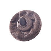 Praline soft cookie