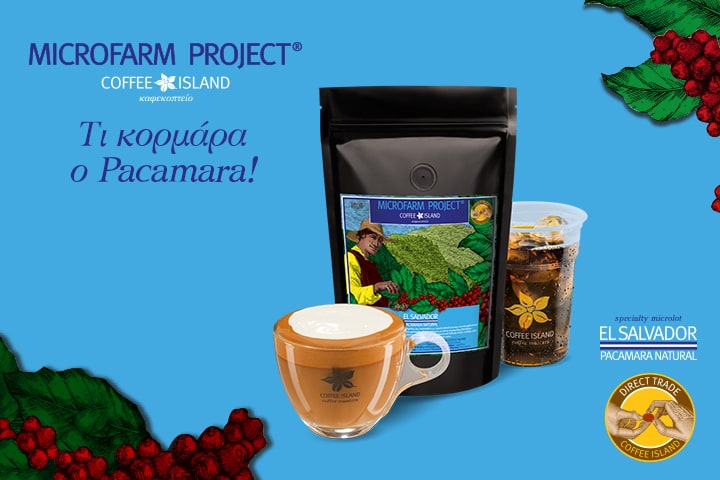 MicroFarm Project®: El Salvador – Pacamara