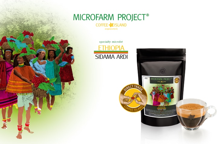Microfarm Project®: Ethiopia Sidama Ardi