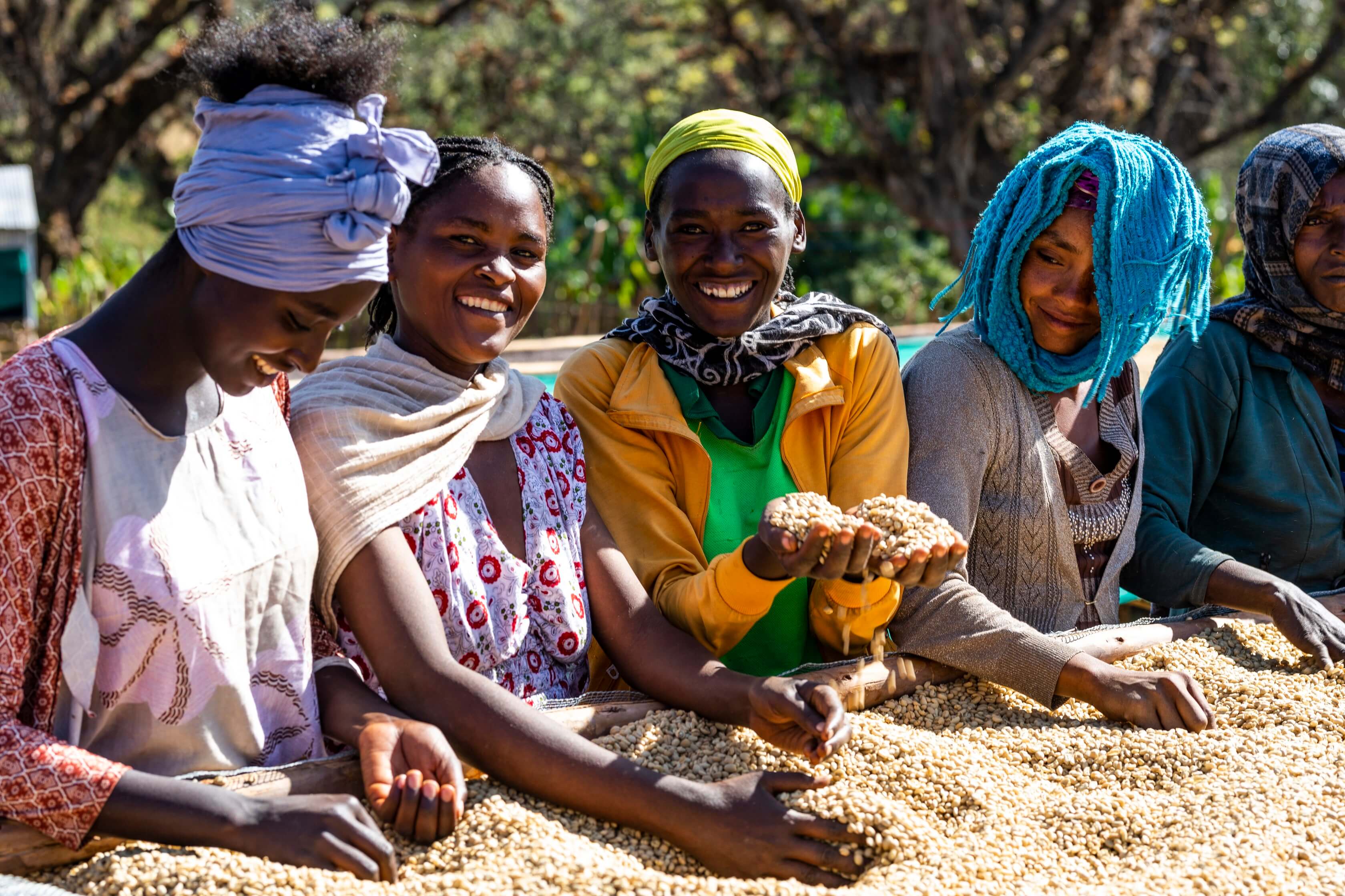 Women’s contribution to the coffee industry