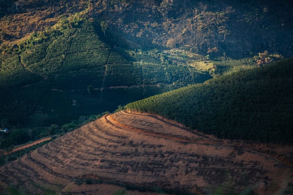 sao paolo field