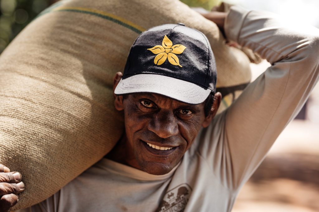 Cake Λεμονιού με Παπαρουνόσπορο