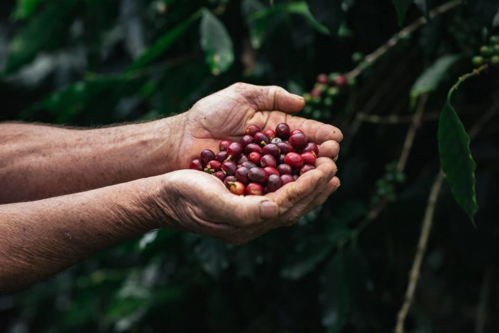 Eco Κάψουλες Καθαρισμού