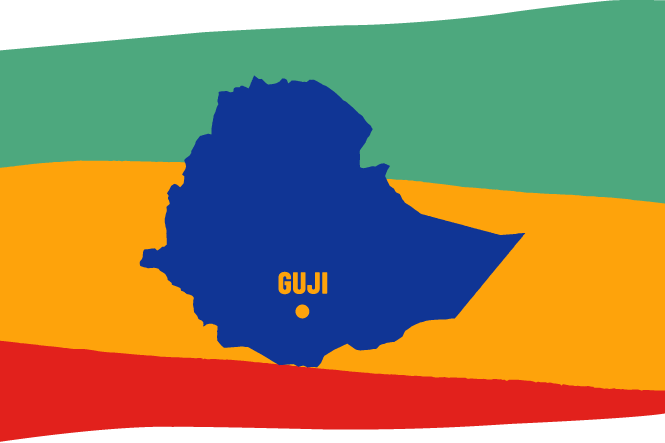 Ethiopia Guji Watercare Prepacked 200g