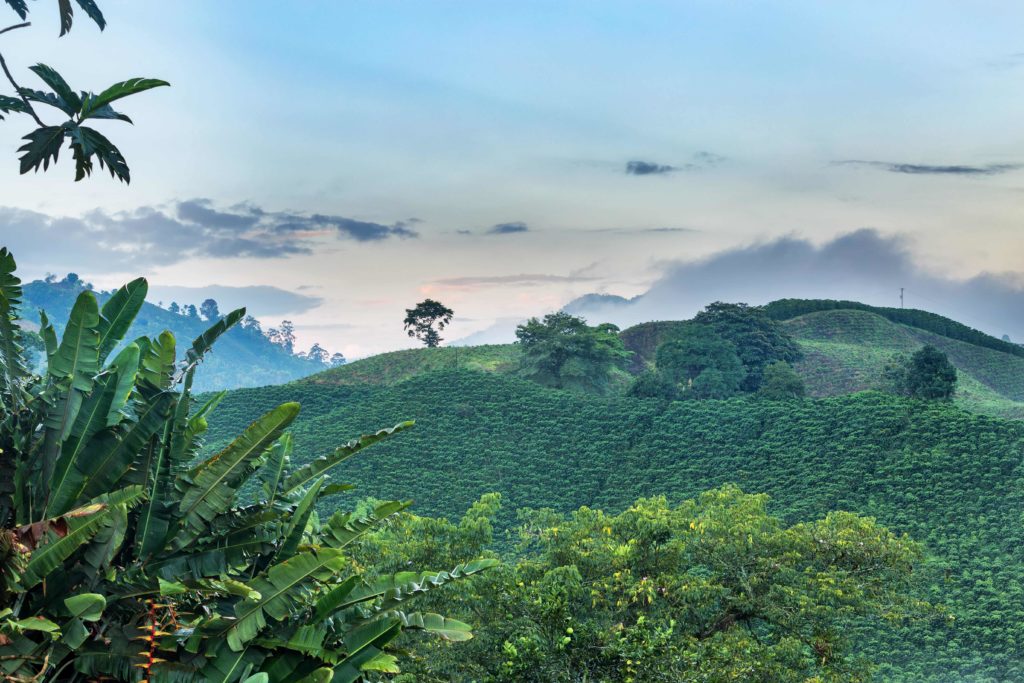 brazil