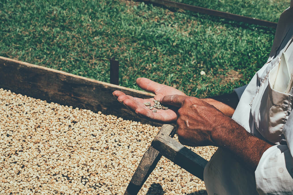 coffee_beans_hand