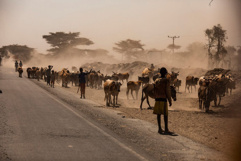 ethiopia_animals