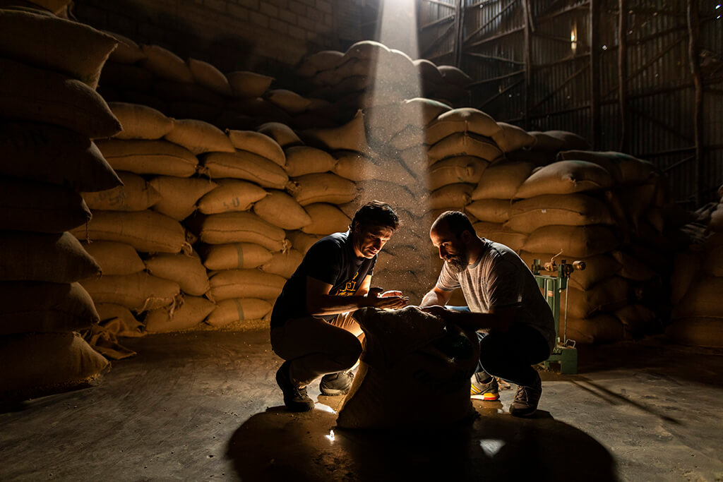 Two men observing coffee beans