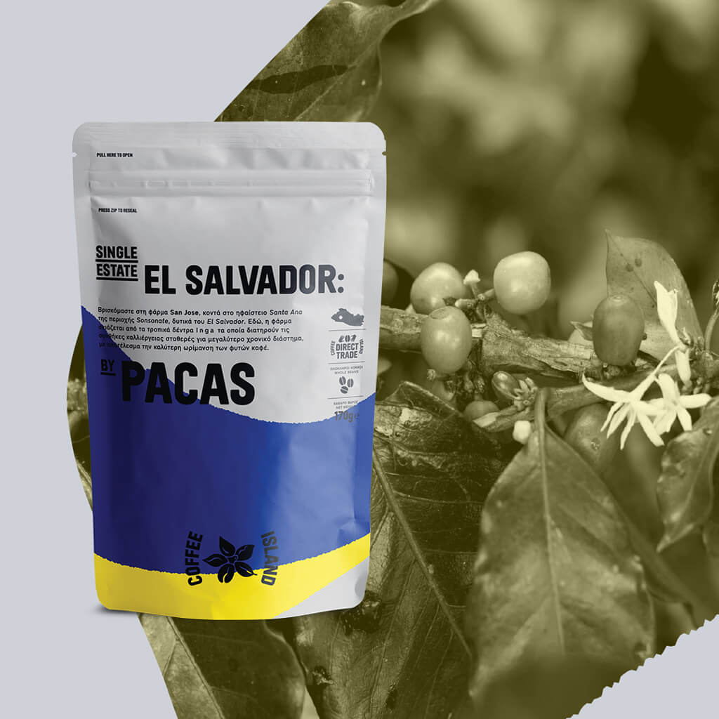 El Salvador by Pacas: A Family’s Single Estate coffee