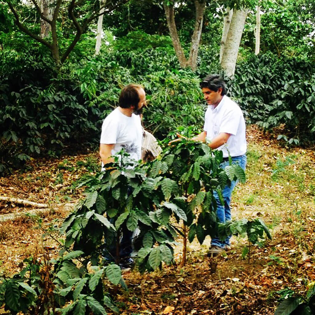 Coffee Island's Coffee Explorer, Panagiotis Konstantinopoulos, in the San Jose farm with the coffee producer Federico Pacas, during our first trip to El Salvador, in 2015.