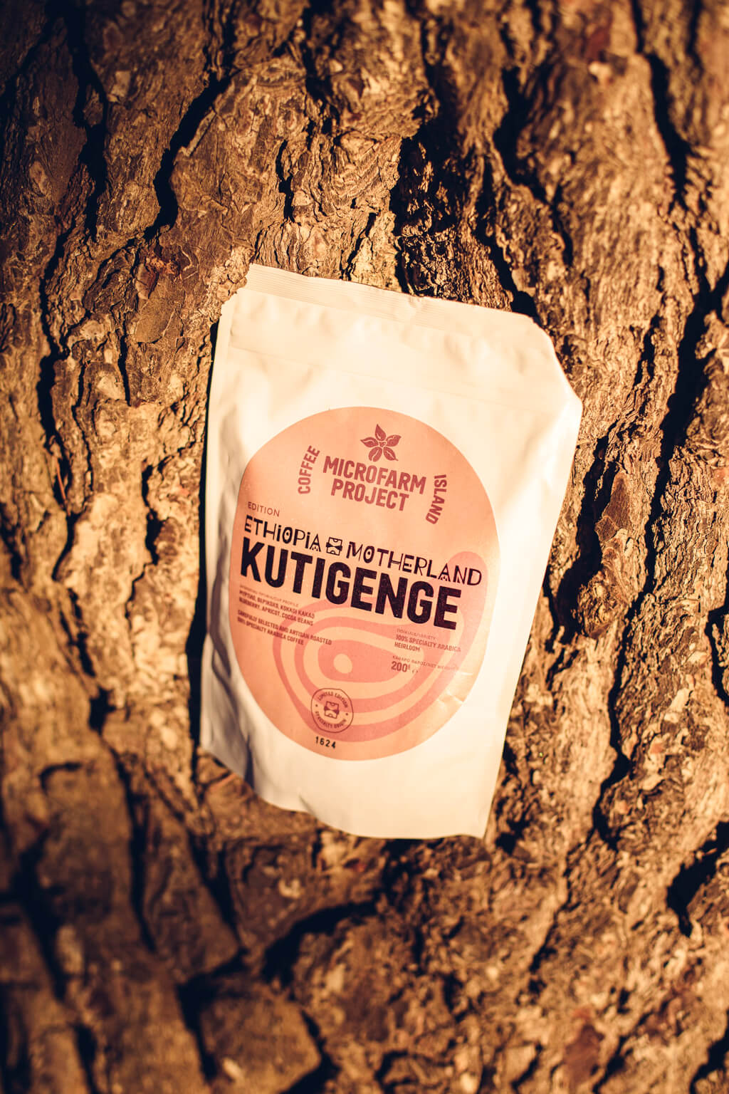 Coffee Island's Ethiopia Kutigenge.