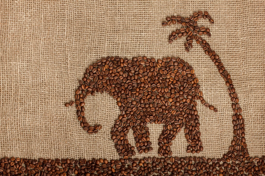 elephant_made_by_coffee_beans
