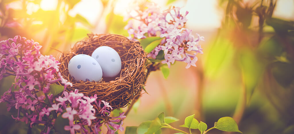 EASTER EGGS NEST