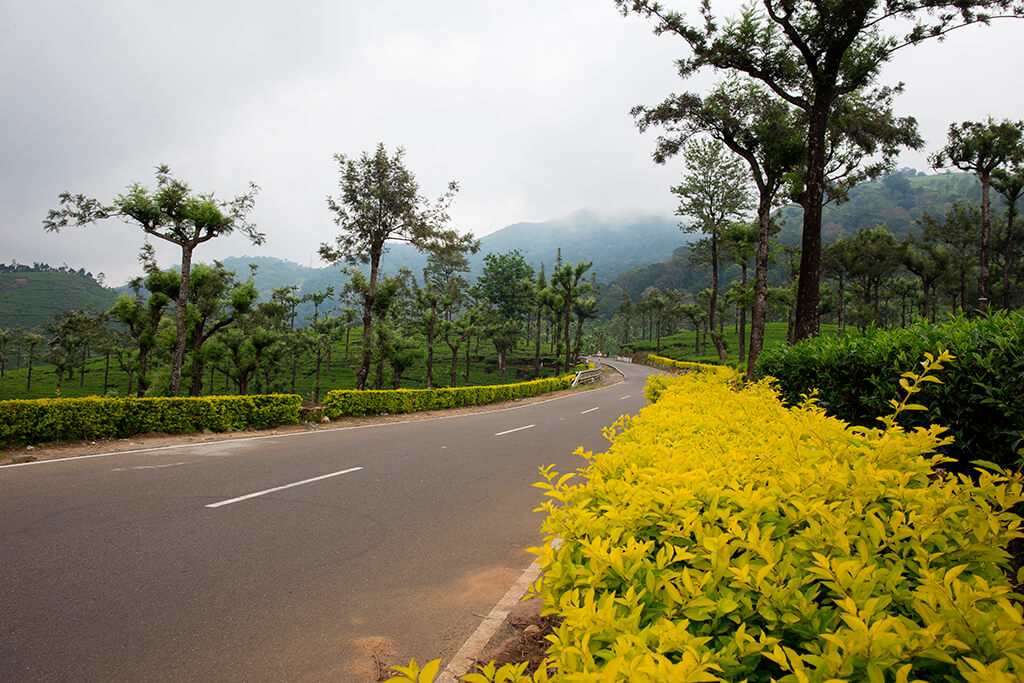 INDIA VALPARAI ROAD