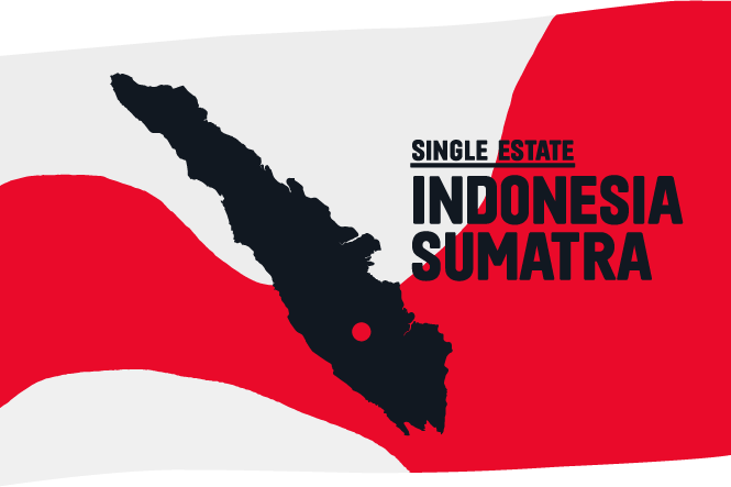 -25% Indonesia Sumatra Συσκευασμένος 200γρ