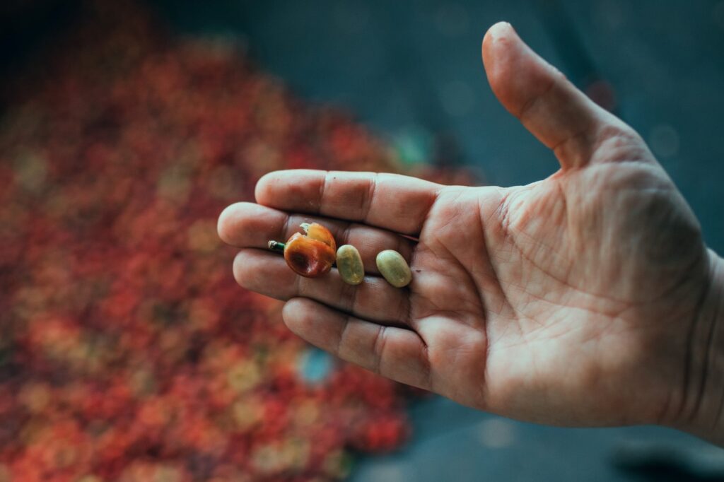 Man holds coffee beans