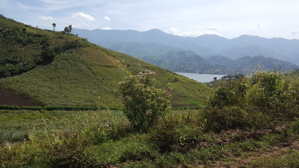 View of mountains