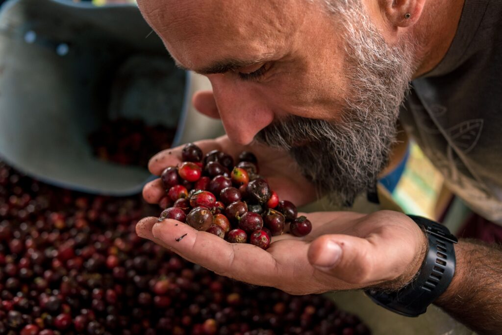 Man smells coffee beans.