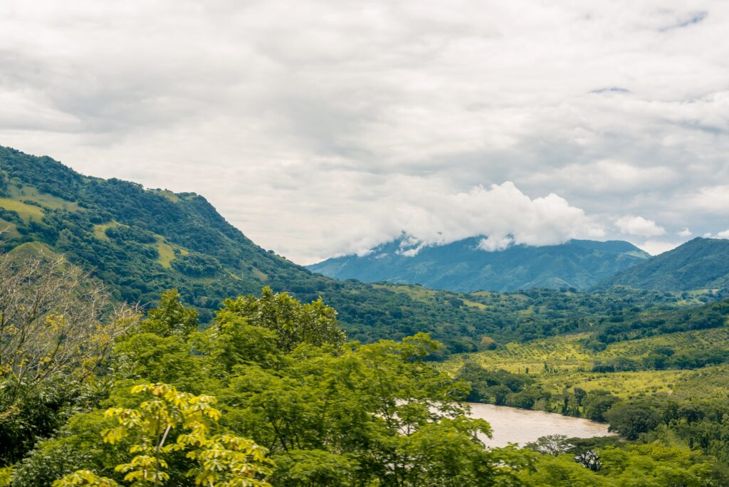 Forest with river and mountains.